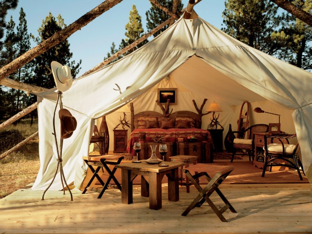 Paws Up Resort