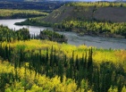 The Yukon River